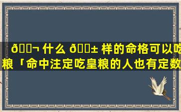 🐬 什么 🐱 样的命格可以吃皇粮「命中注定吃皇粮的人也有定数」